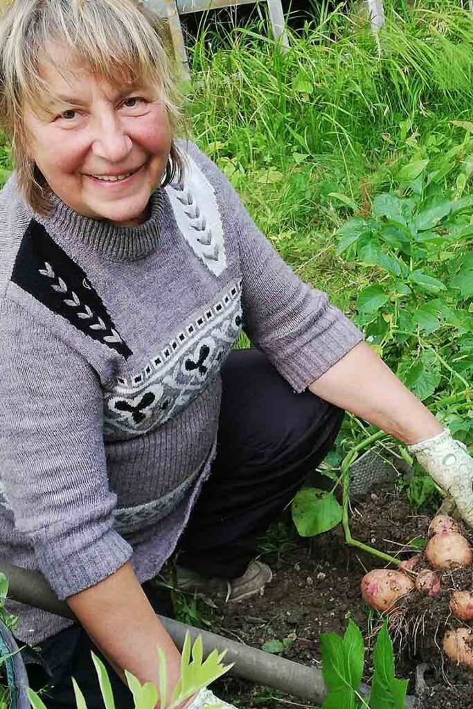 kartoshechka